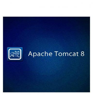 apache tomcat 8